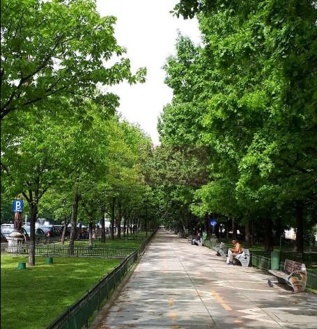 Vanzare apartament bd Unirii, vedere exclusiv la bulevard